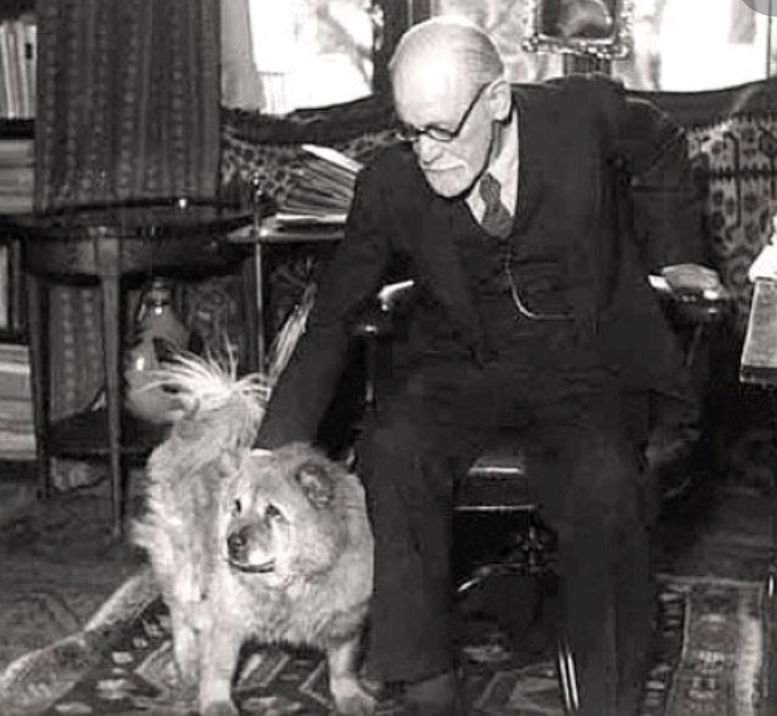 COSA PENSAVA FREUD DEGLI ANIMALI..