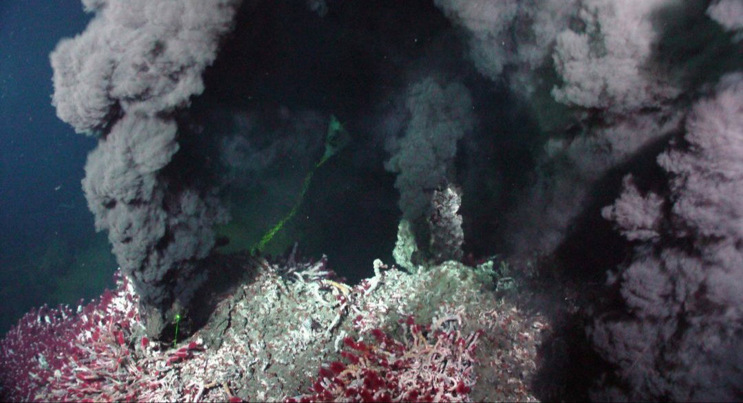 THE HUGE GOLD DEPOSIT OF DEEP OCEANIC AND MARINE TRENCHES