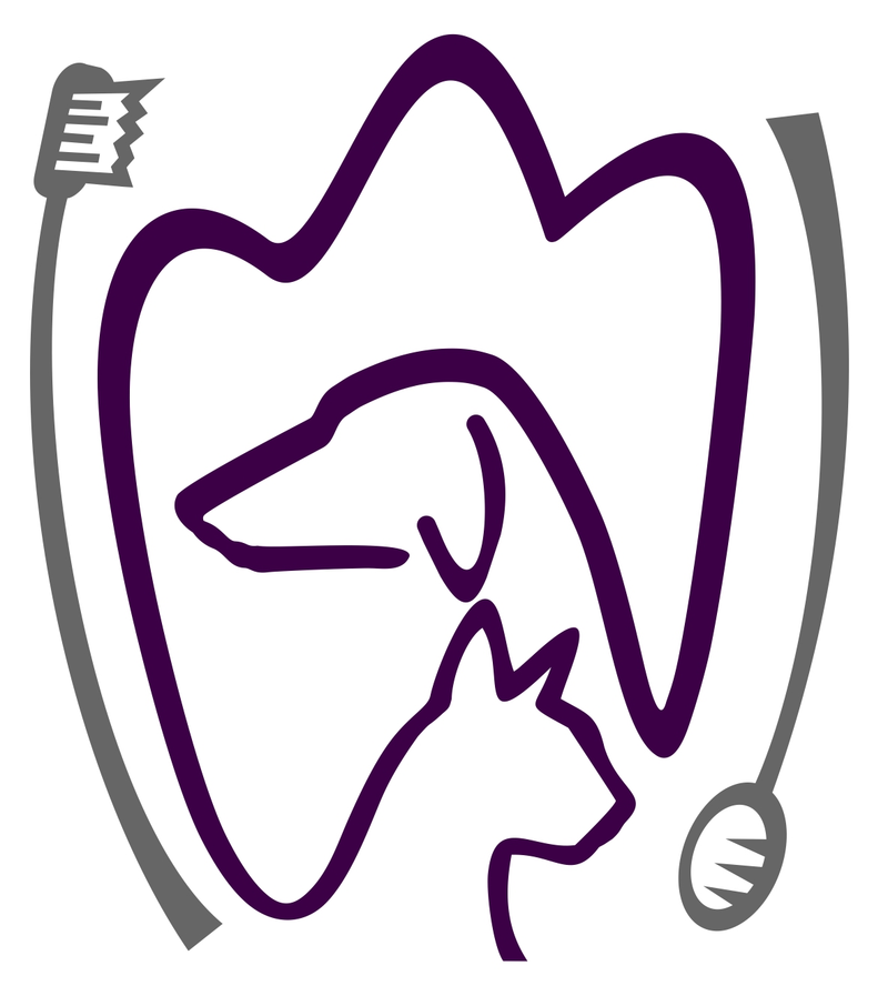 Dermatite de dobra labial