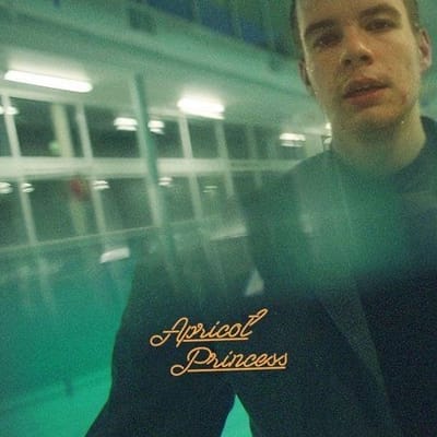 “apricot princess” by rex orange county review