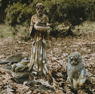 "amorevelous" by ragtop review