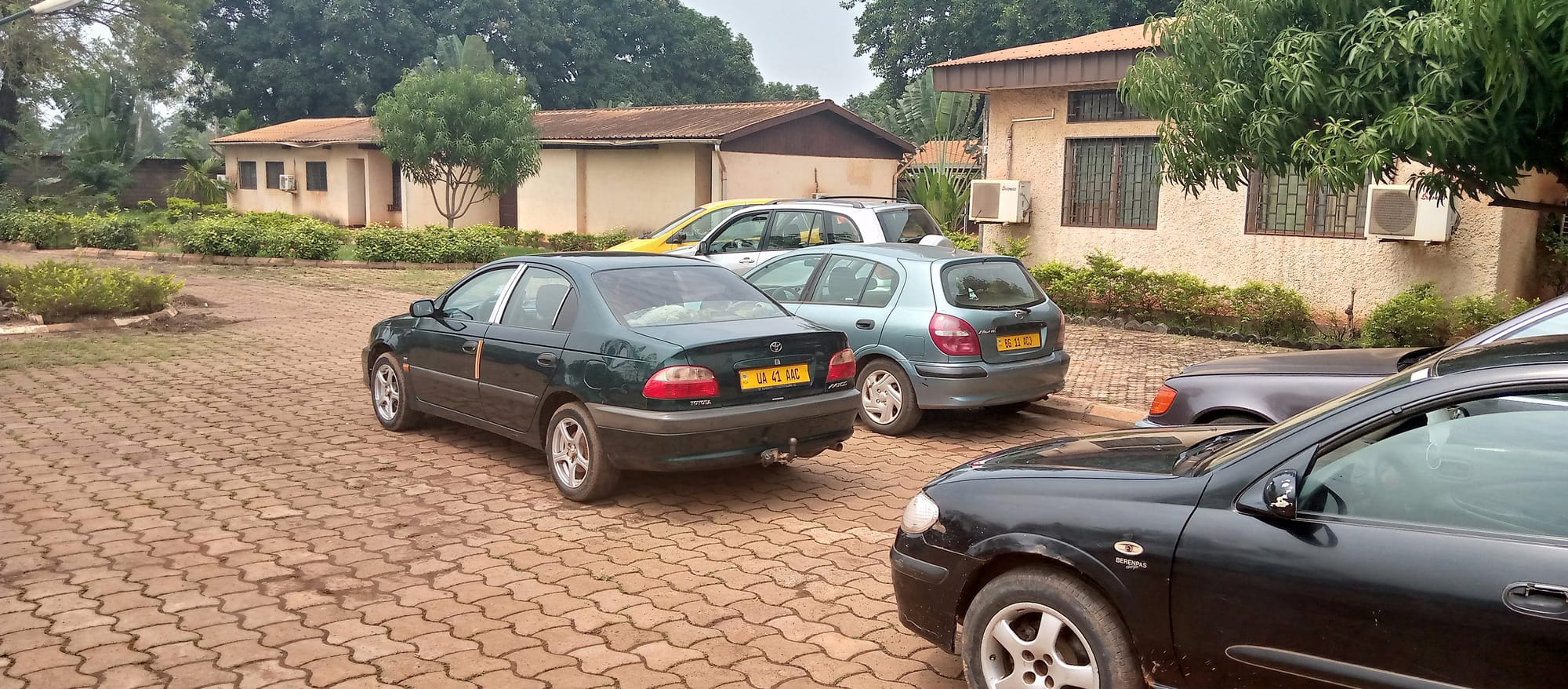 Soutenance des mémoires de Master 2019 - 2020