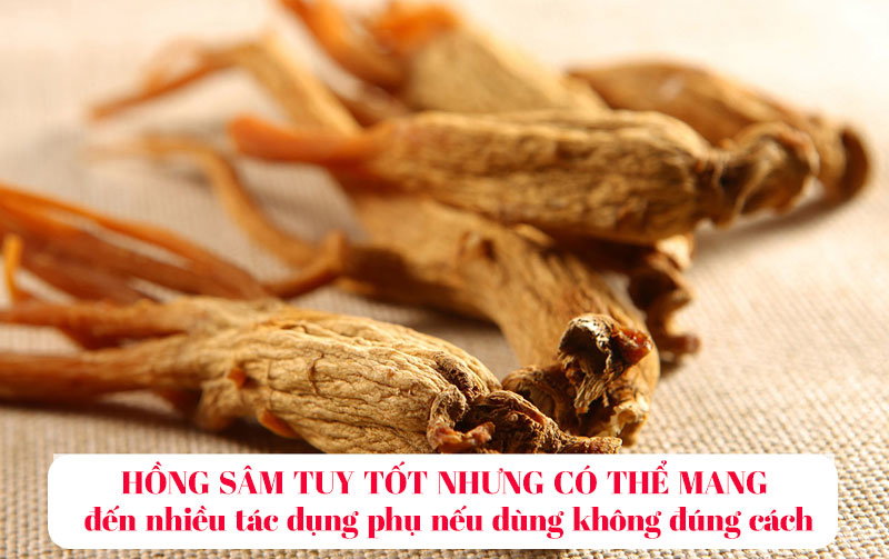 Top 7 tac dung cua hong sam Han Quoc huu ich cho co the