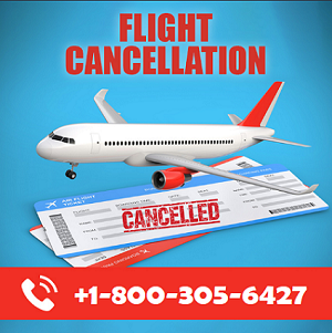 Avianca Flight Booking Cancellation