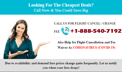 Delta Airlines Booking Cancellation Policy