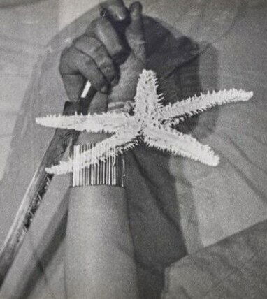 1928-L'étoile de mer-Μαν Ραίη