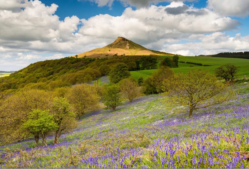 Summer event - Roseberry Topping Walk