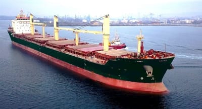 Upsides Of Bulk Carrier Chartering