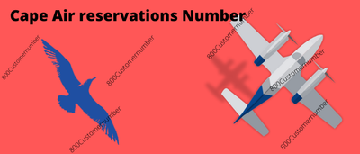 Cape Air Reservations Phone Number