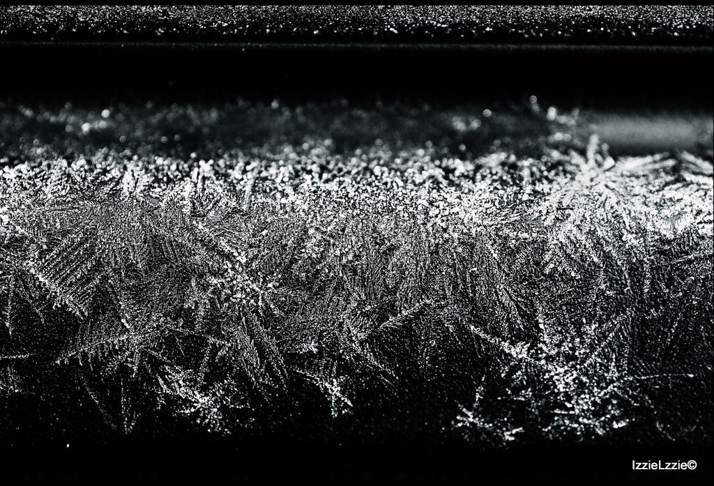 Frost - Ice Crystals