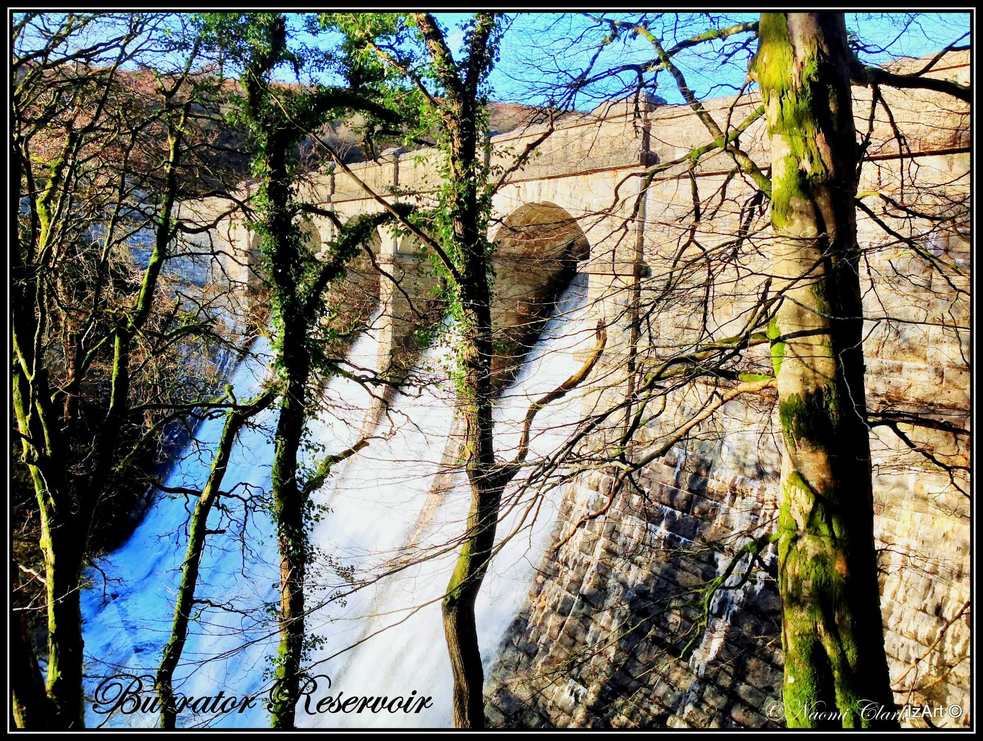 Burrator