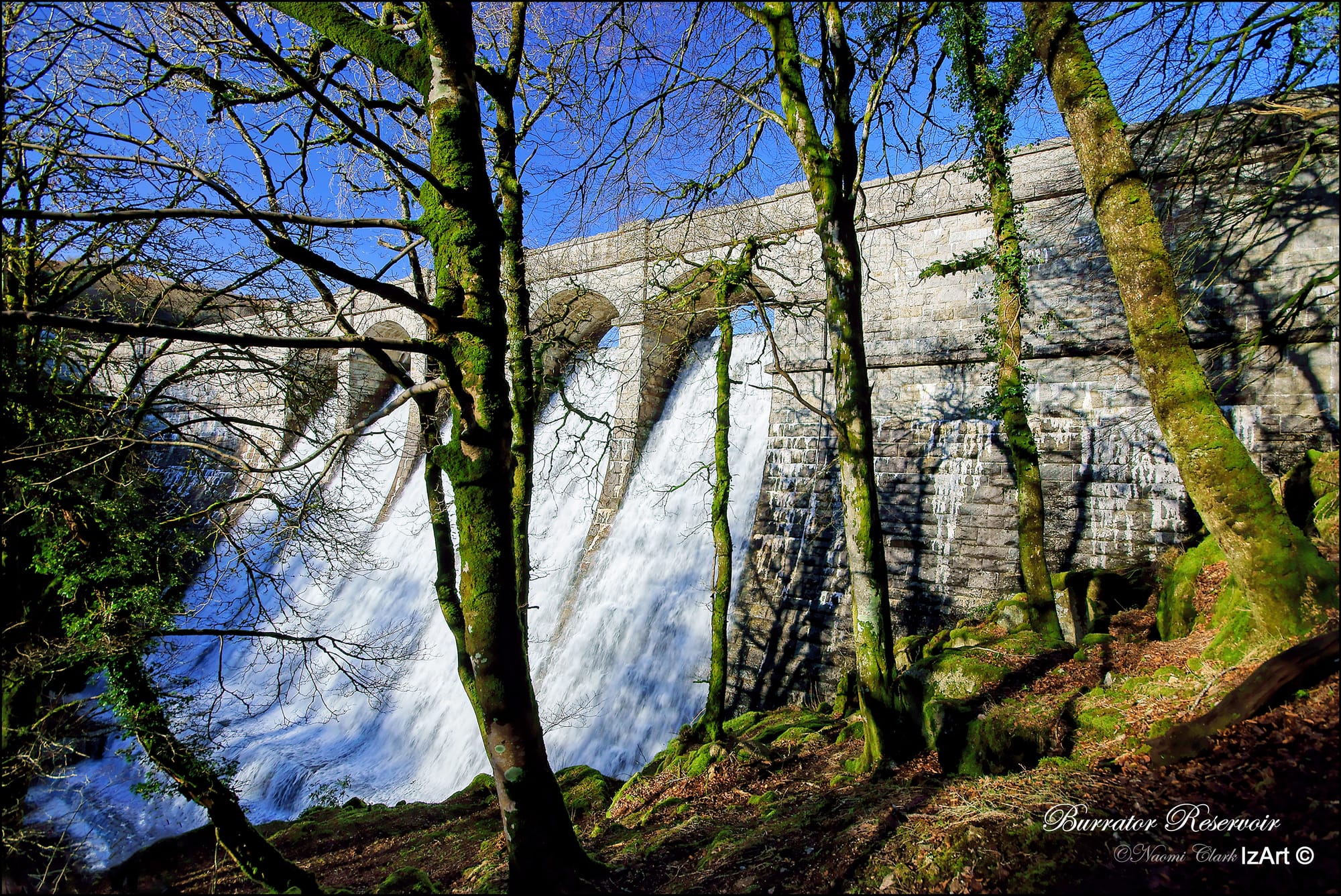 Burrator