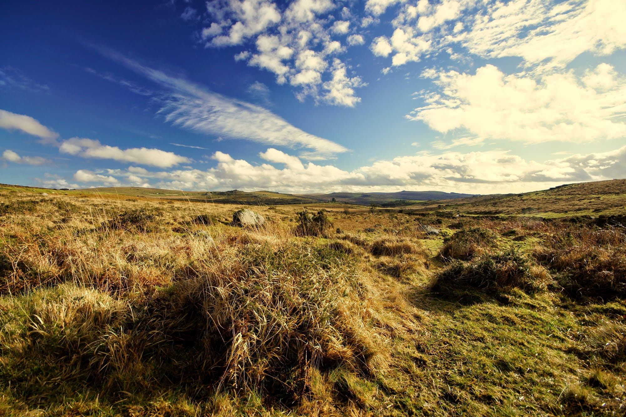 Dartmoor