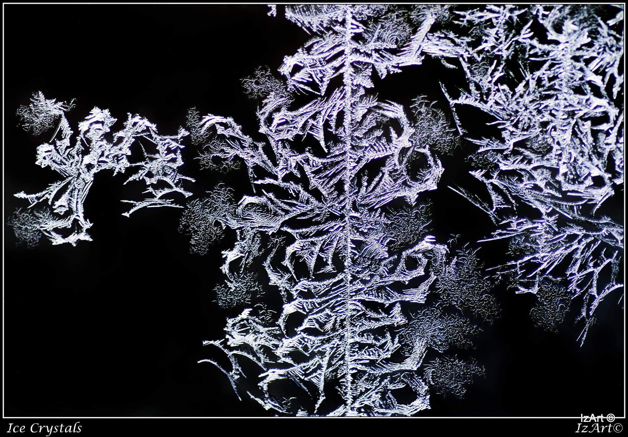 Ice Crystals - Hoar Frost