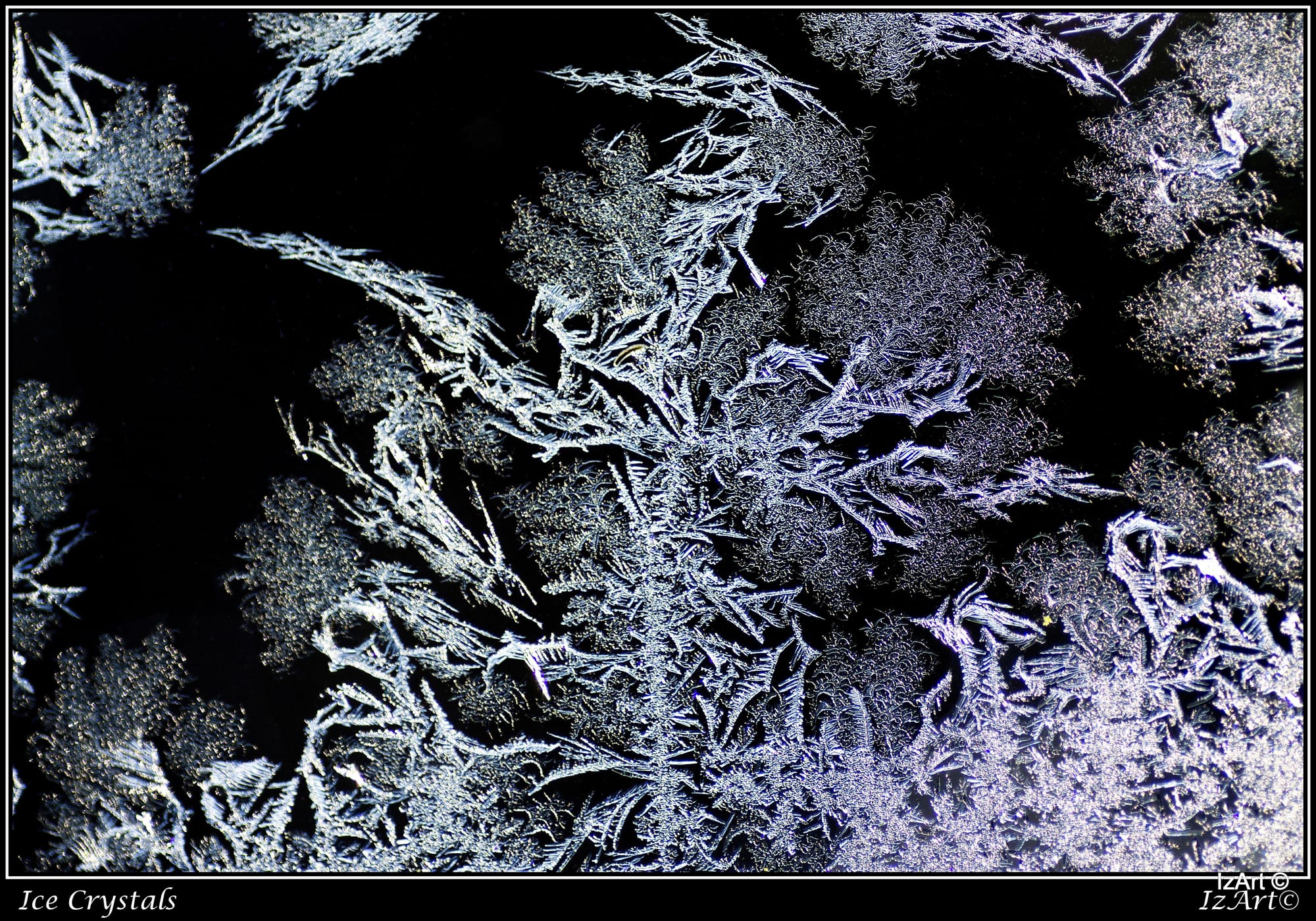 Ice Crystals - Hoar Frost