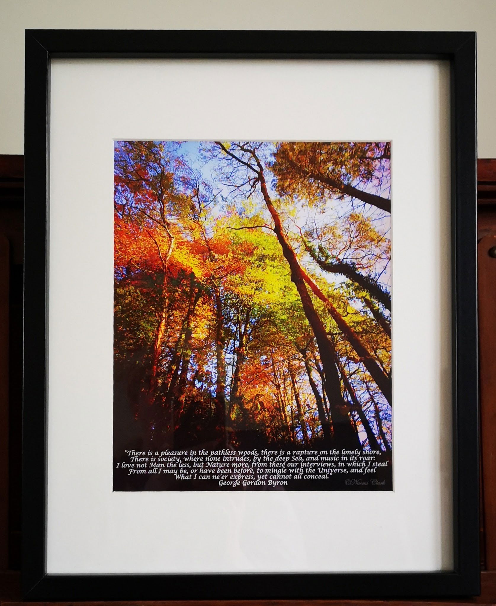“PATHLESS WOODS” £17.50.  ©