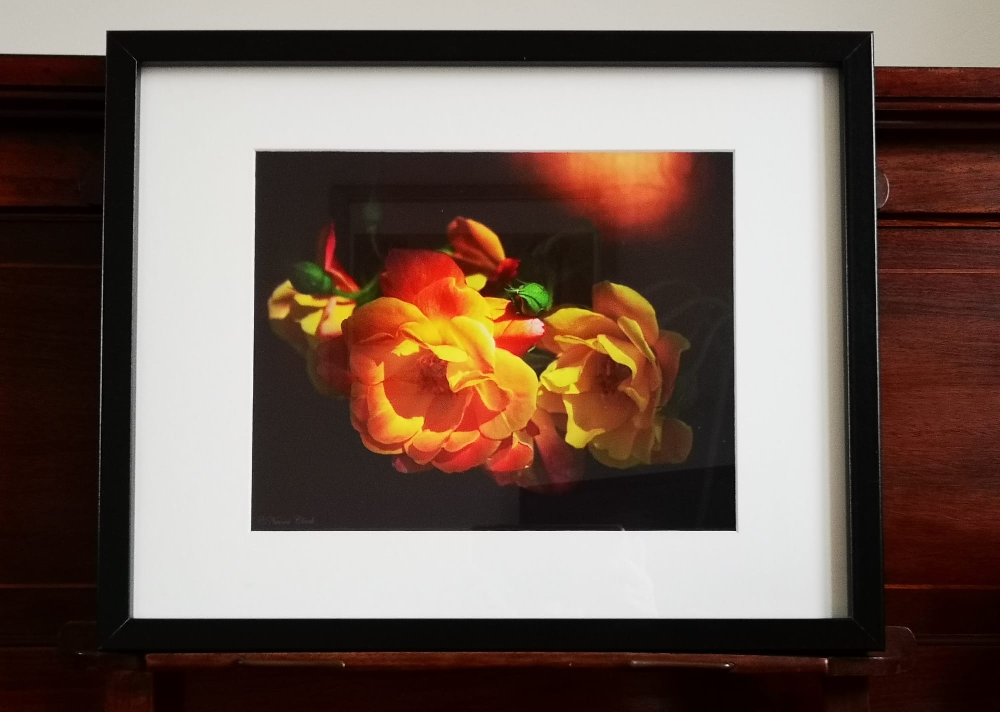 “MORSON ROSES” £17.50. ©