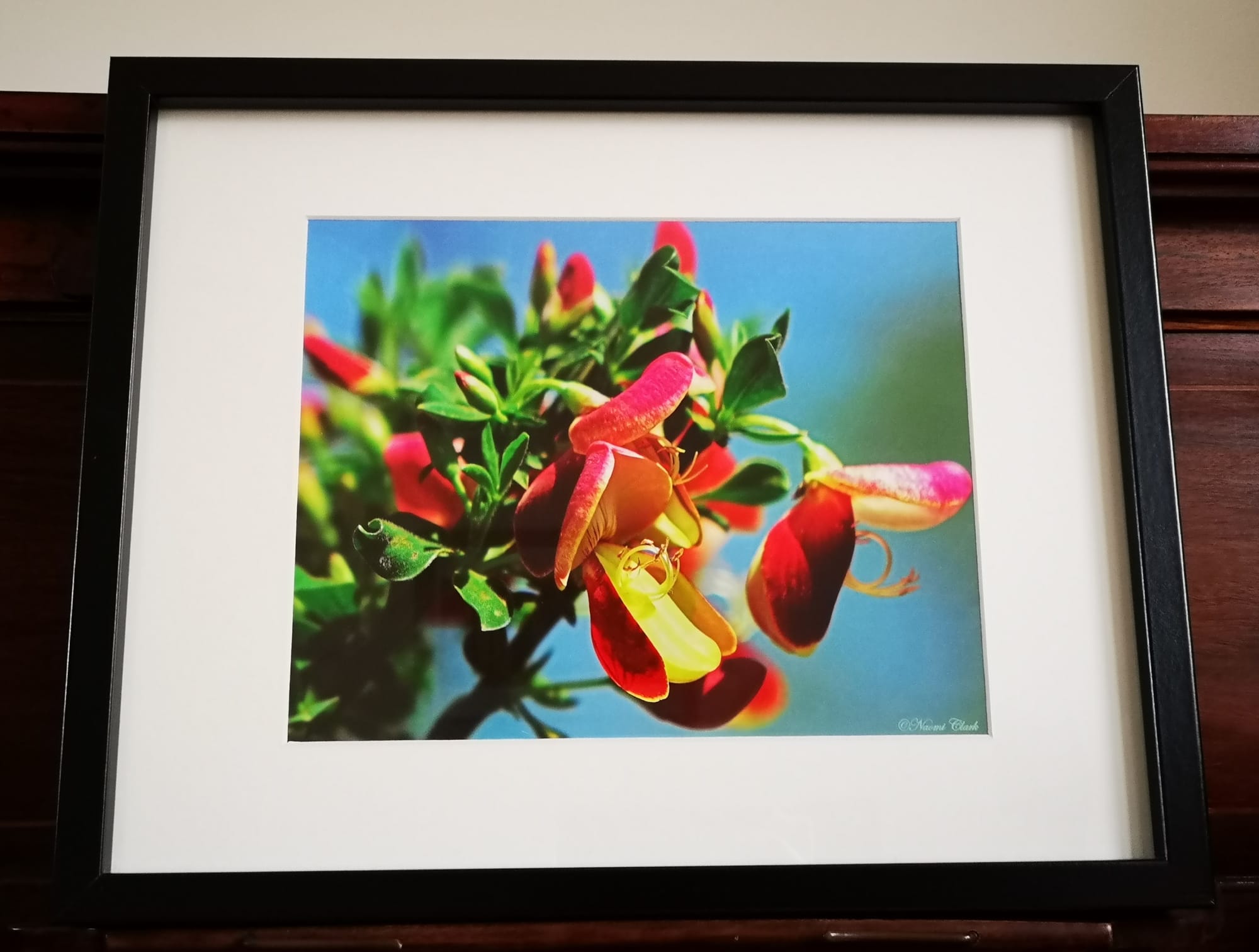 “BROOM FLOWERS” £17.50.  ©