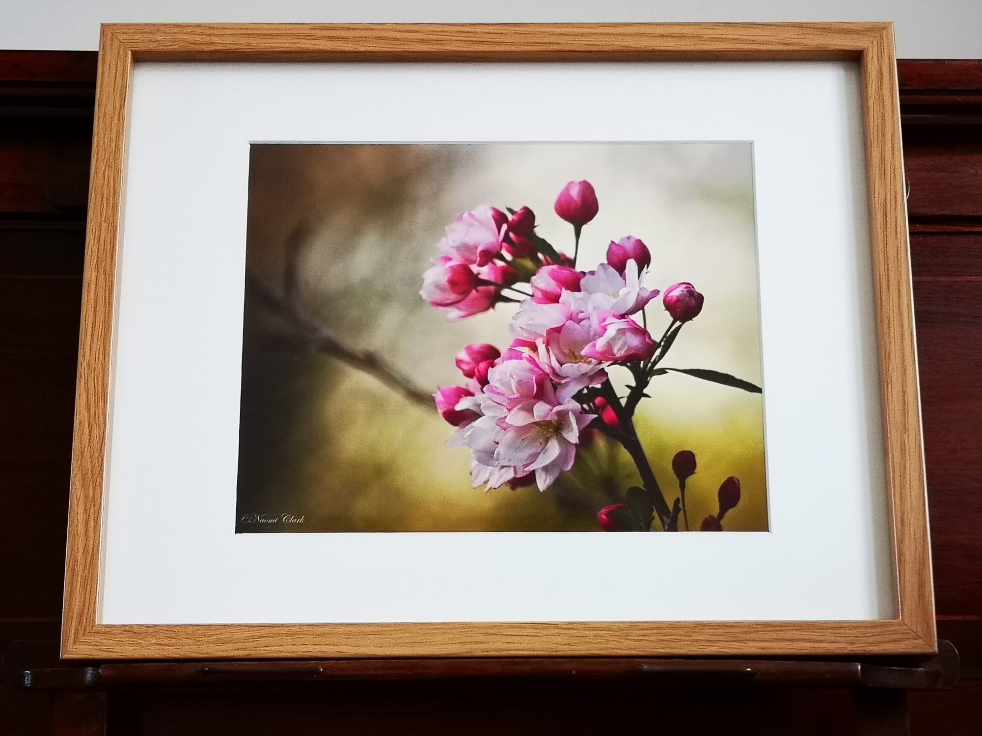 “DREAM” CHERRY BLOSSOM £17.50.  ©
