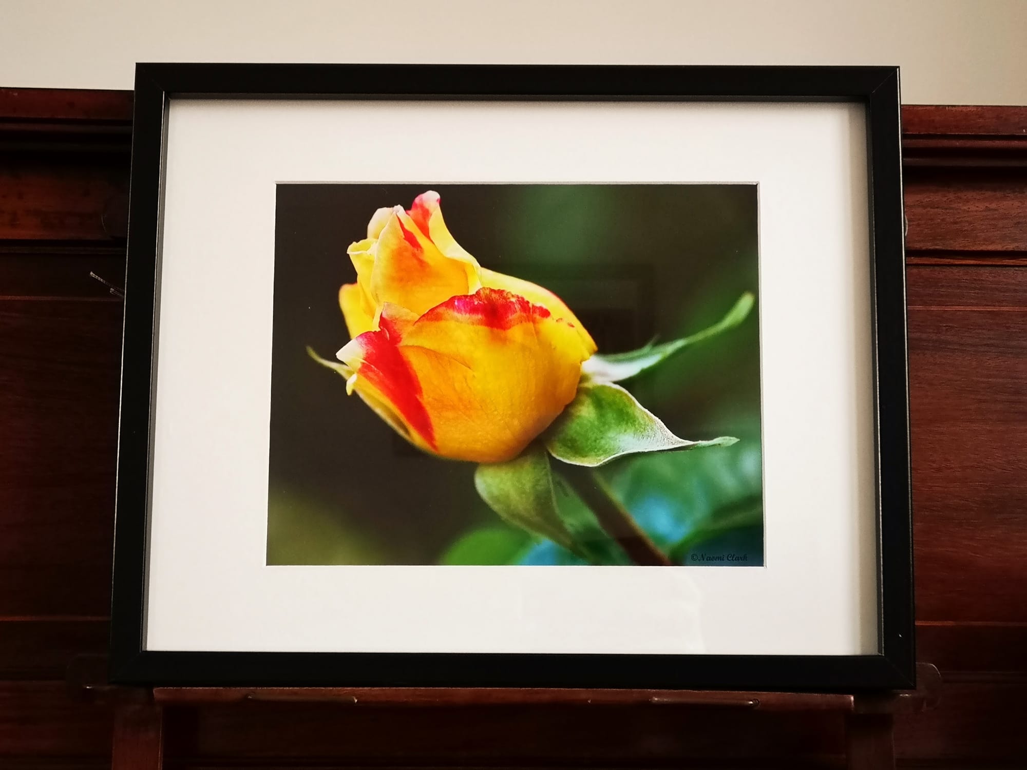 “YELLOW ROSE” £17.50. ©