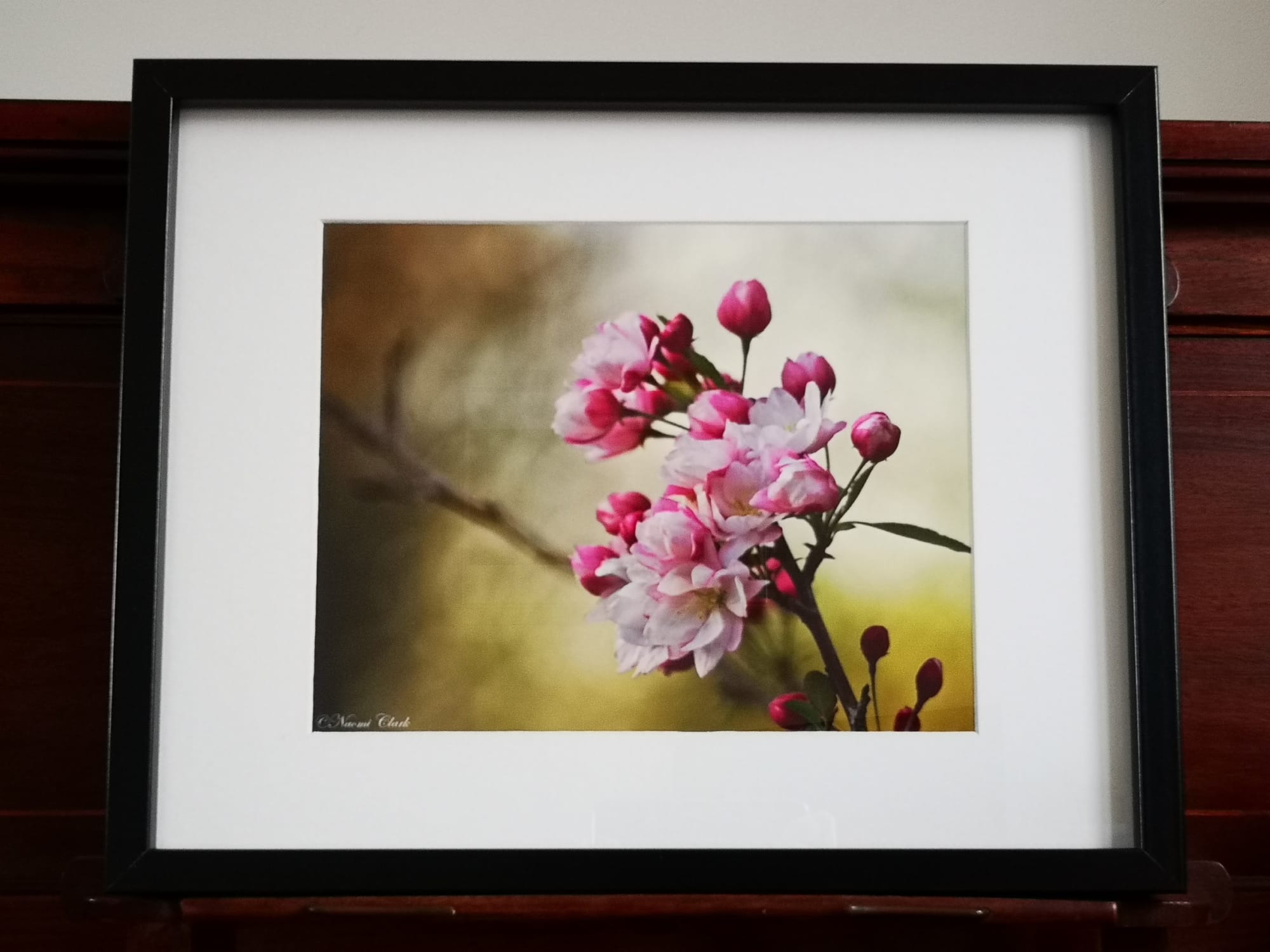 “DREAM” CHERRY BLOSSOM £17.50. ©