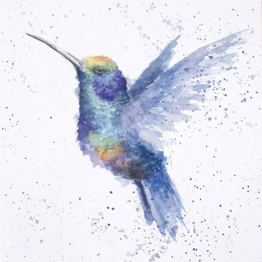 “RAINBOW”