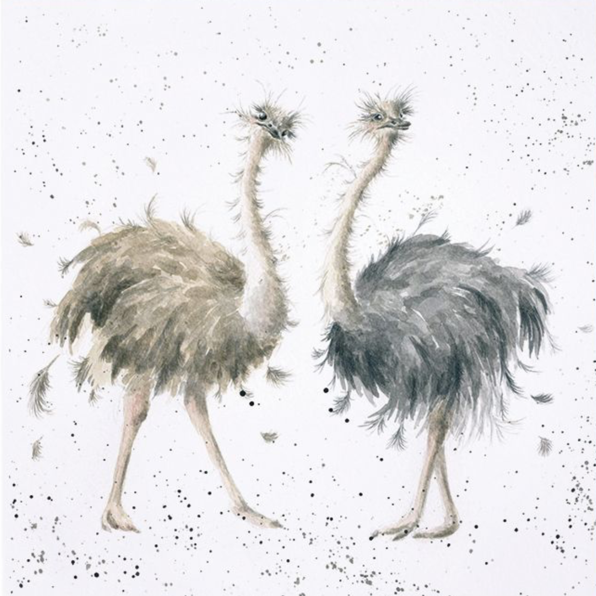 “BIRDY”