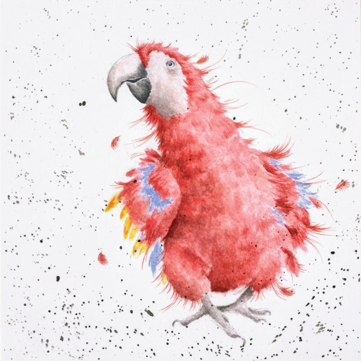 “PARROT ON PARADE”
