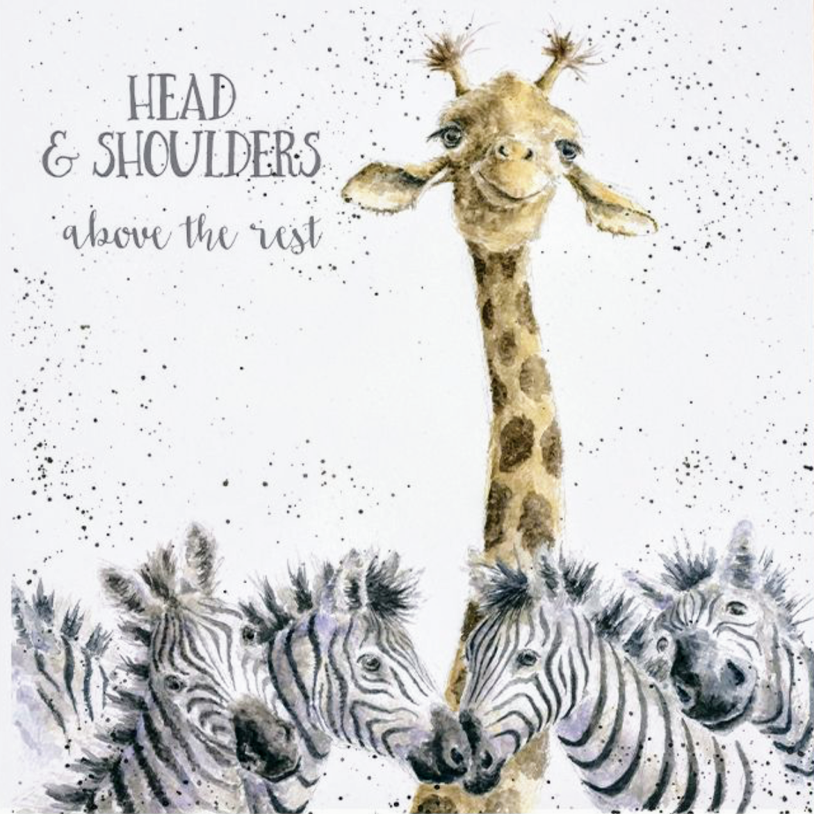 “HEAD AND SHOULDERS”