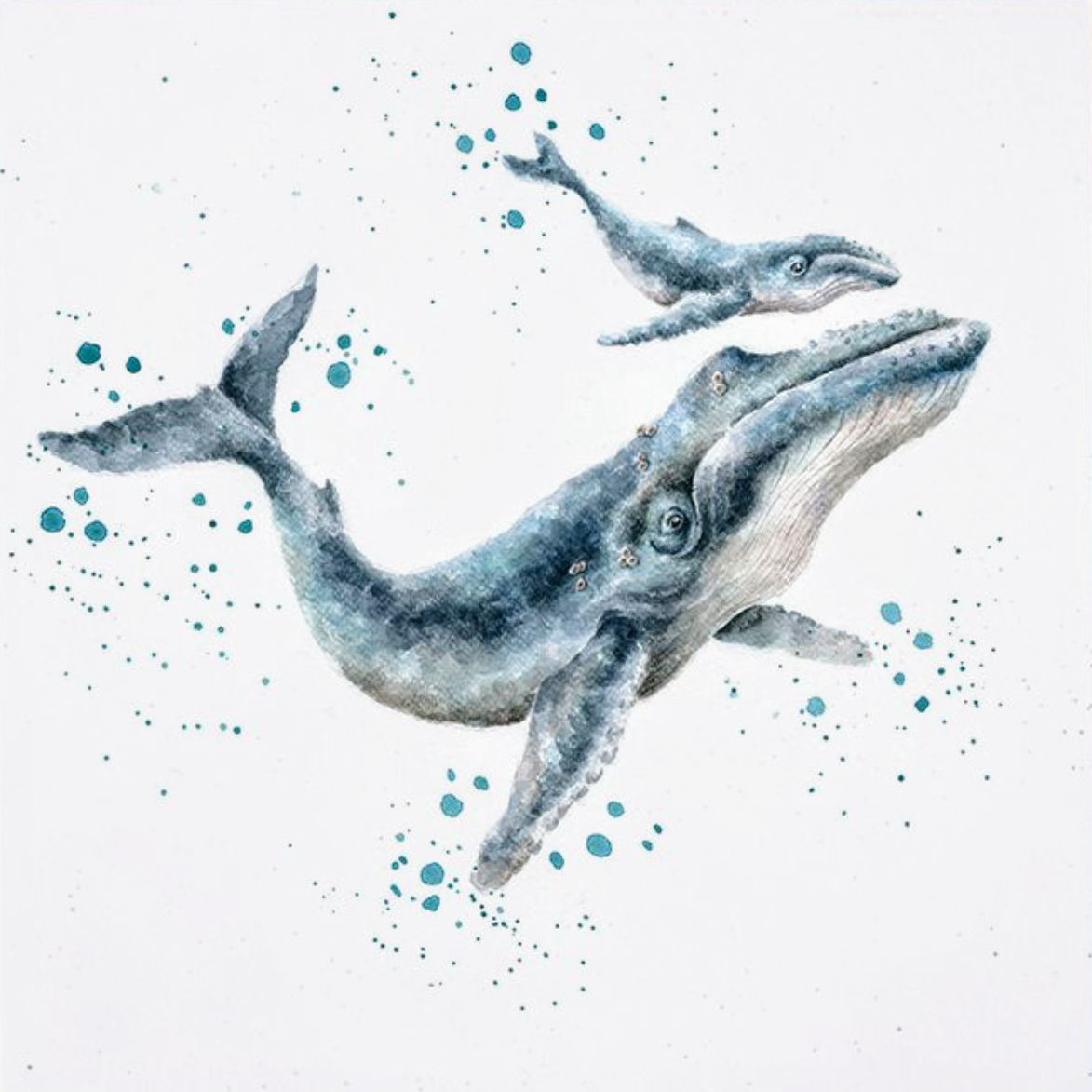 “MARINE BLUE”