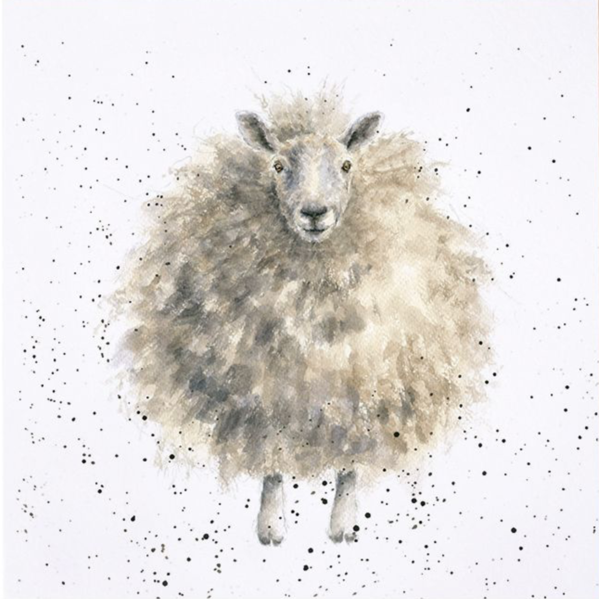 “THE WOOLLY JUMPER”