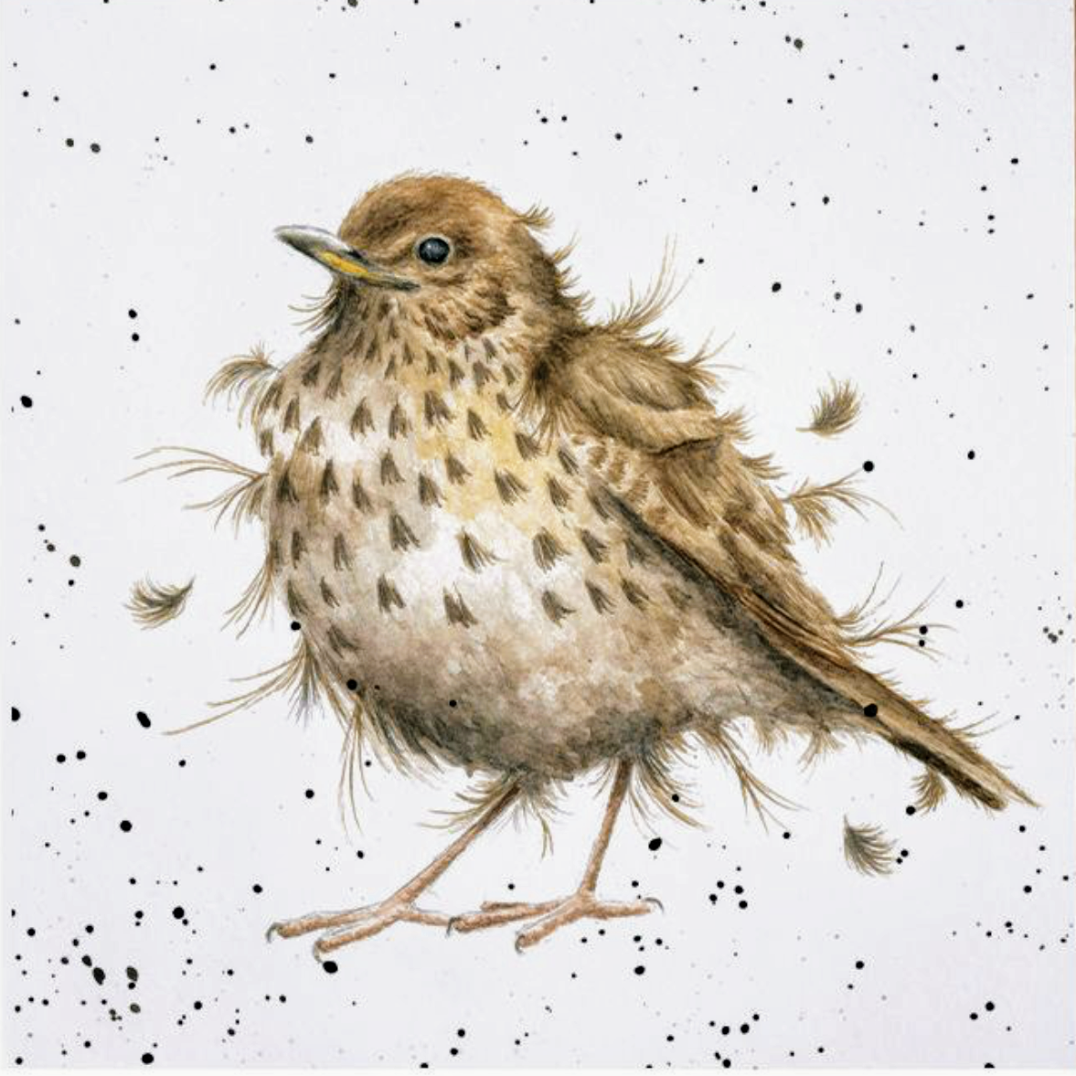 “SONGBIRD”