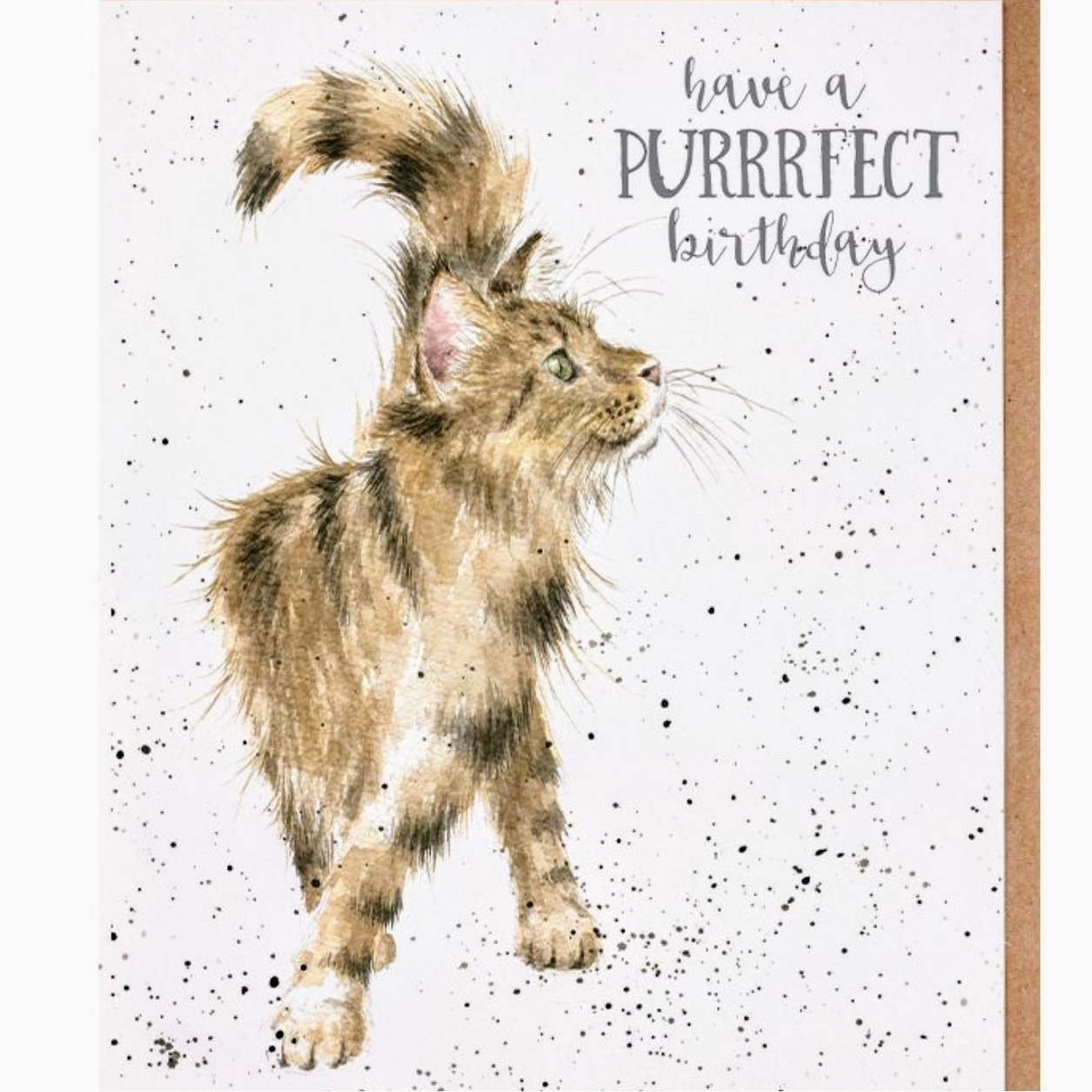“JUST PURRFECT”