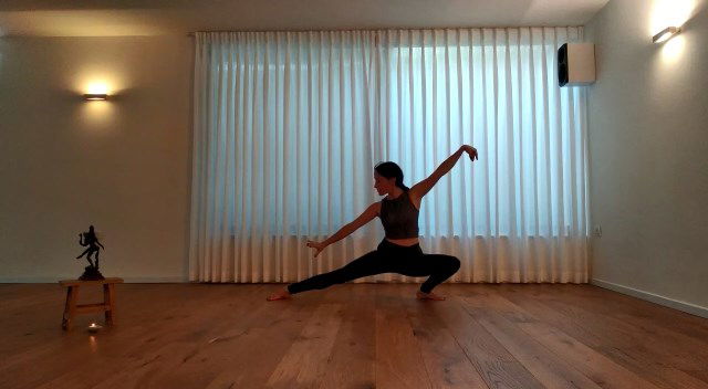 Shadow Yoga Preludes - סדרות המבוא