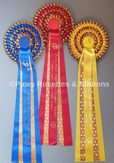 Paws Points Individual Leauge image