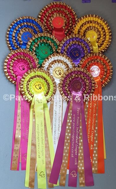 Paws Points Individual Leauge image