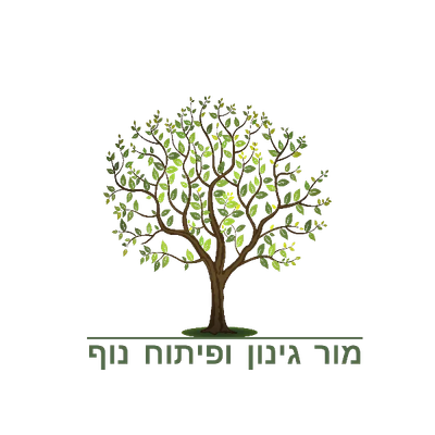 אודות image