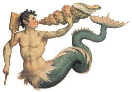 Triton image