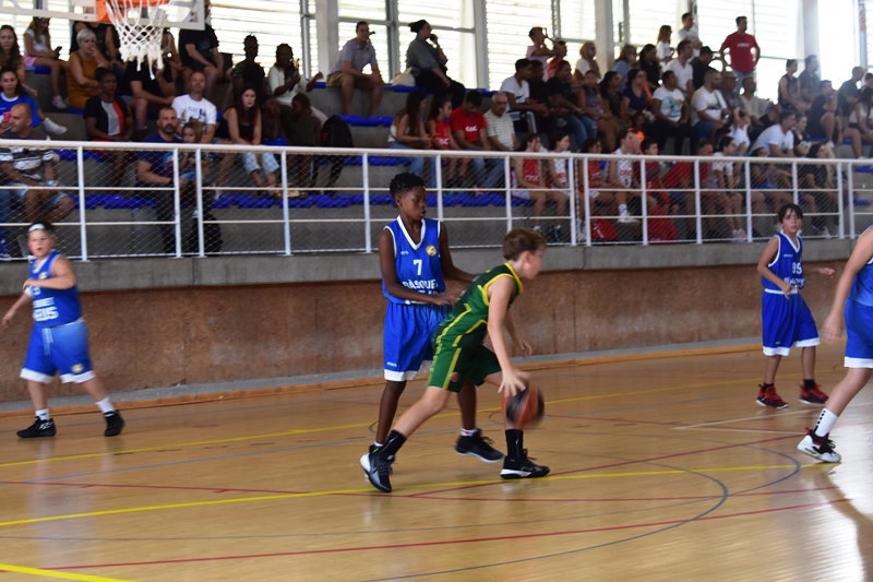 Nivells provisionals a Promoció per el 2024. Basquetbol masculí