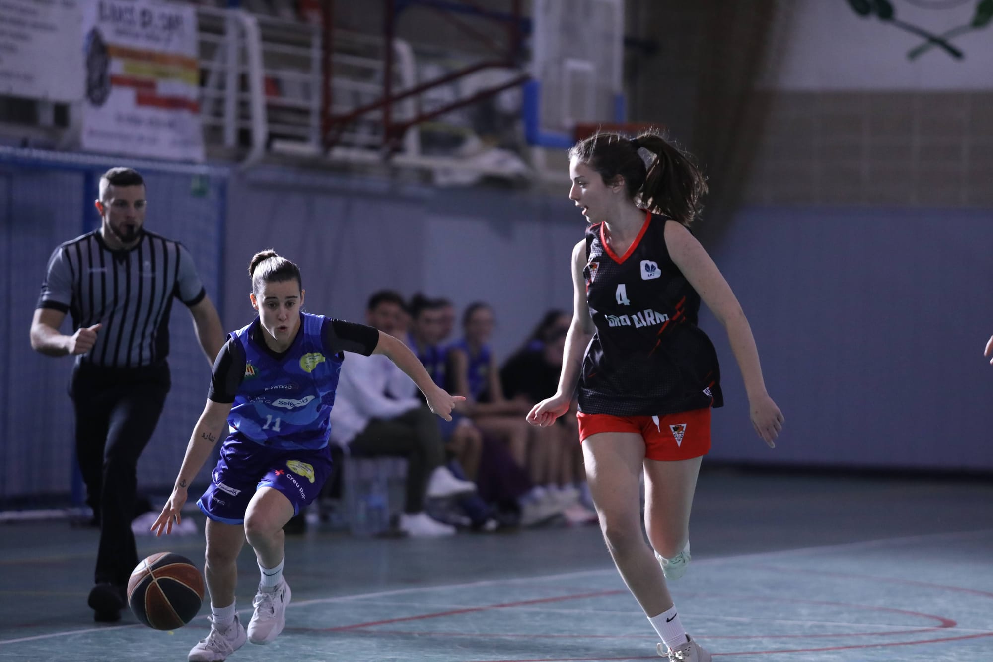 2024: Els propòsits del basquetbol colomenc