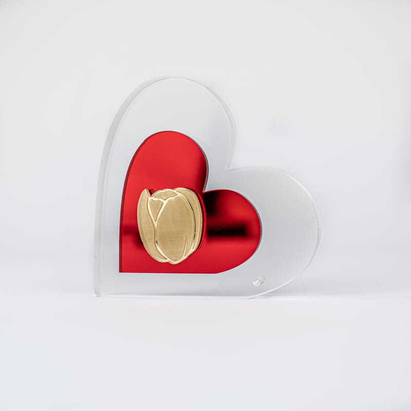 Λευκό Φόντο 