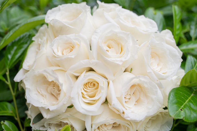 Γάμο - Βάπτιση