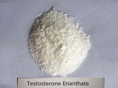 Testosterone Enanthate Raw Steroid Power or Raw Anabolic Steroid SARMs Powder from Top Supplier