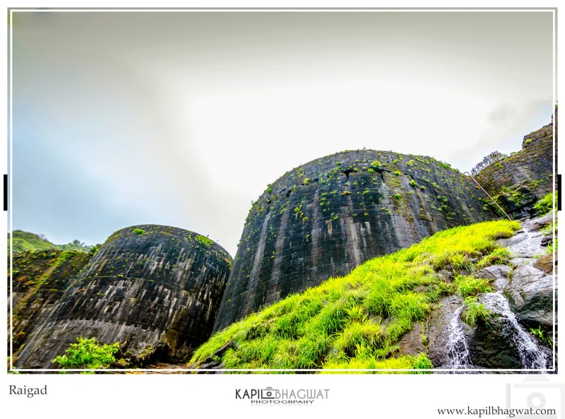 -[ Harmony in Nature ]-