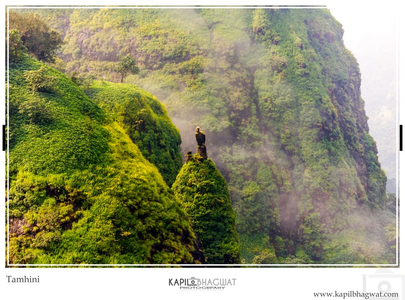 -[ Harmony in Nature ]-