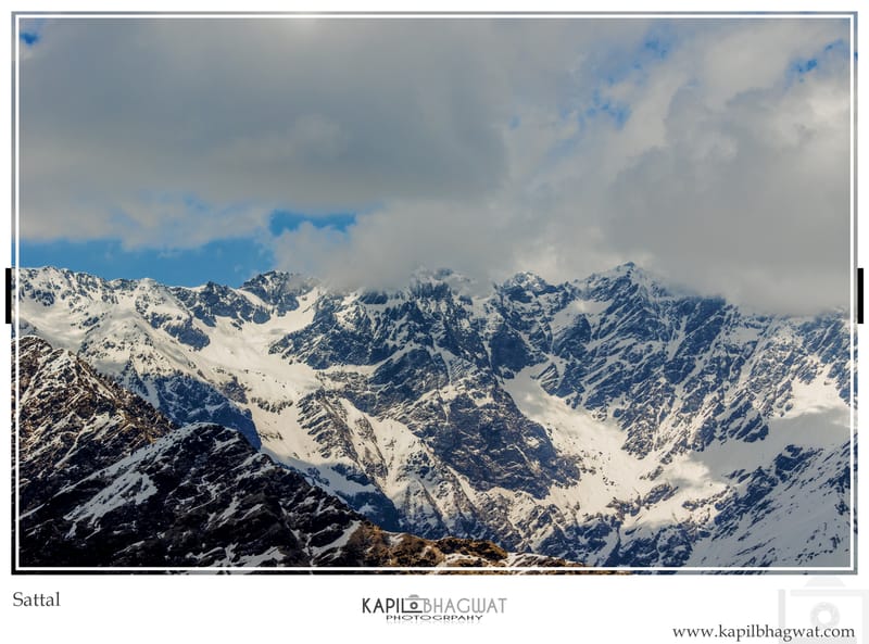 -[ Harmony in Nature ]-