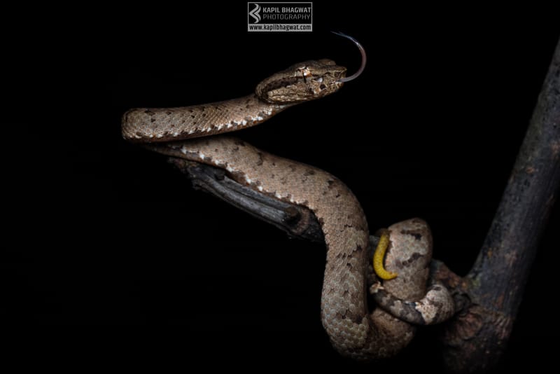 ||||||||||||||||||||