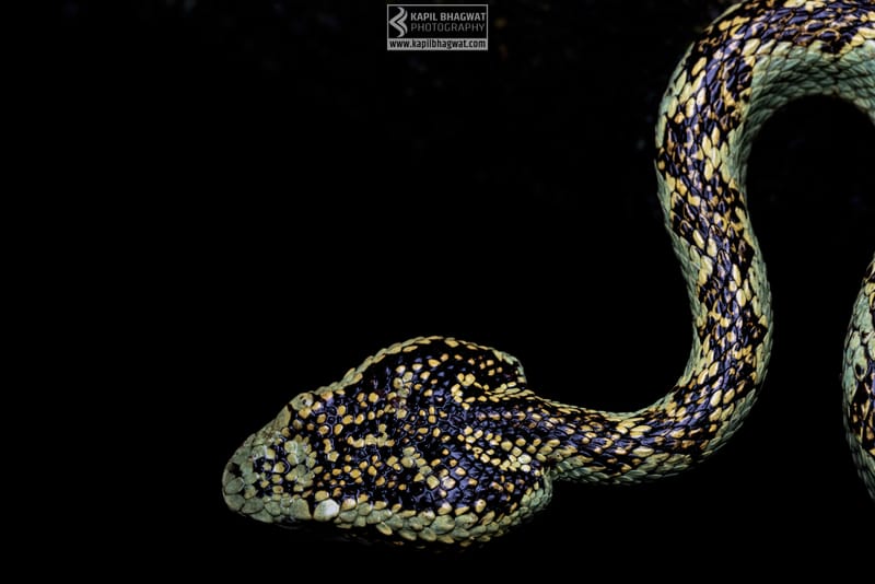 ||||||||||||||||||||