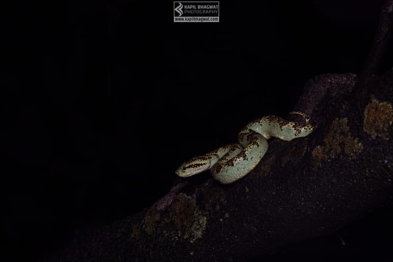 ||||||||||||||||||||