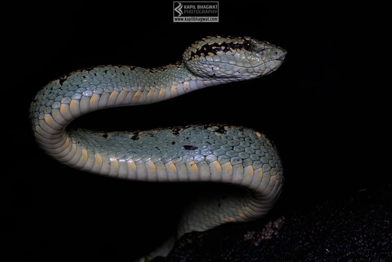 ||||||||||||||||||||